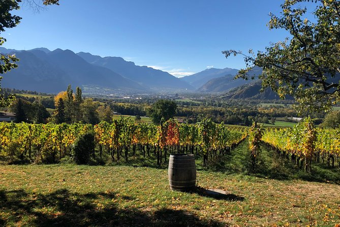 3 Hour Unique Wine Tour - Half Day in Swiss Alps - 3 Hours in the Swiss Alps, Not a Full Day You Have to Recover From