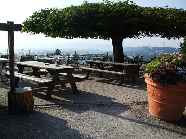 3 in 1: Zurich Walking Tour - Cruise on the Lake - Cable Car Ride to Felsenegg - Key Highlights You Should Not Miss