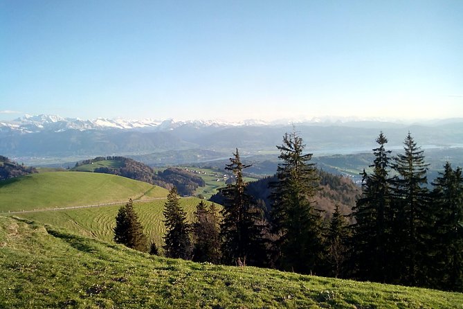 4-hour Quad Tour near Zurich - Quick hits you will feel fast