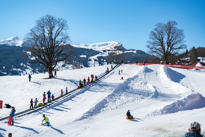Afternoon Beginner Package Ski in Interlaken - What Makes This Interlaken Ski Start So Beginner-Friendly