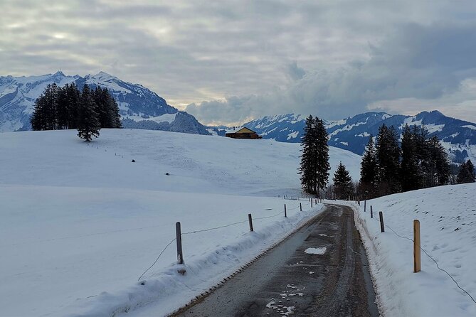 All Inclusive Rhine Falls and Appenzell Private Day Tour from Zurich - Who this tour fits best