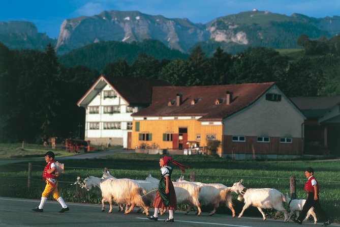 Appenzell Alps Day Trip from Zurich – Farm Life & Cheese Tasting - Getting From Zurich: Sihlquai, Lake Zurich, and a Small Mercedes Van