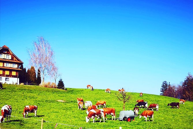 Appenzell and Liechtenstein Tour from Zurich - A Day Trip That Feels Like Two Countries and One Big Food Theme