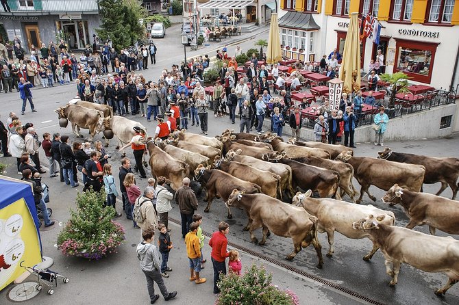 Appenzell and Liechtenstein Tour from Zurich - Price and What You Actually Get for $1,044.40