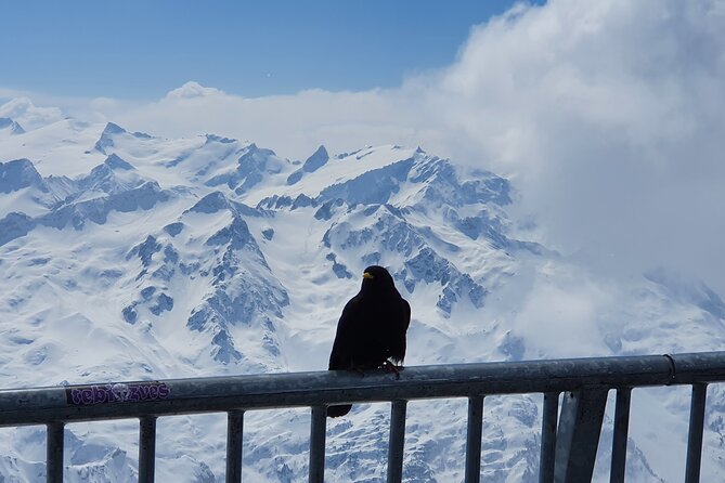 Attraction Ticket: Mt. Titlis by Train and Cableway from Lucerne - The Titlis Cliff Walk and ice cave: why this ticket works