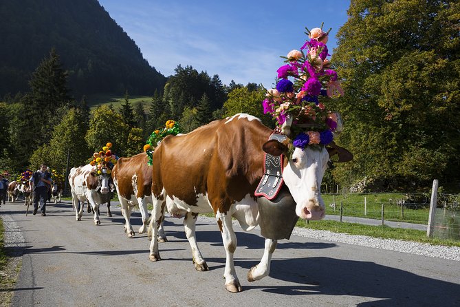 Berne the Capital and Cheese paradise Emmental (Private Tour) - Where it fits best: who this tour is for