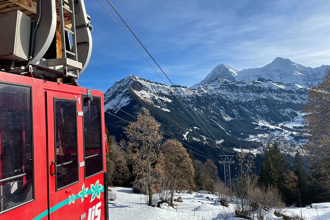 Best of Bernese Oberland & Swiss Countryside Tour (Private Tour) - Price and what you actually get for $898.89 per person