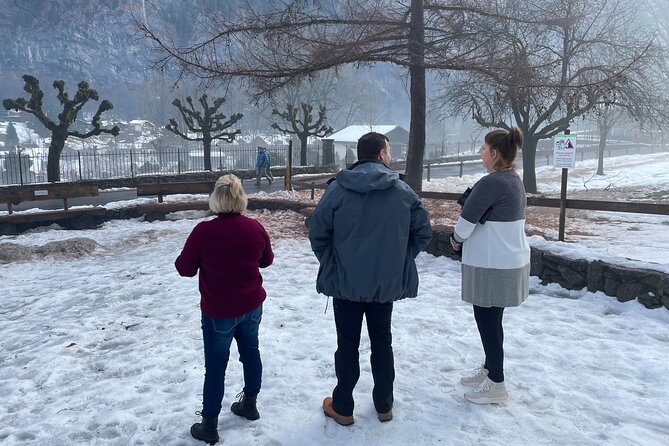 Best of Bernese Oberland & Swiss Countryside Tour (Private Tour) - UNESCO Bern Old Town: cobblestones and Aare River viewpoints