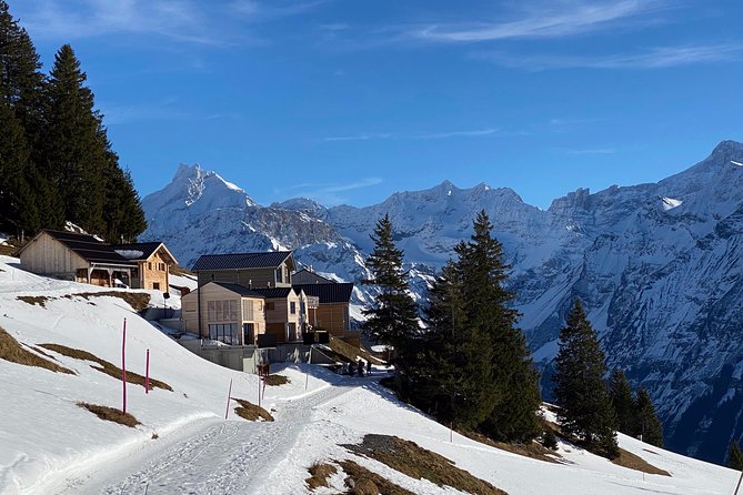 Best of the Uri Alps: A fjord-like lake, glorious peaks and sustainable tourism - Gondolas Are the Star, and You Get Them Included
