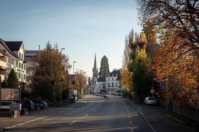 Best of Zurich Tour with Felsenegg Cable Car and Ferry Ride - Adliswil to Felsenegg: the cable car payoff and Alpine views