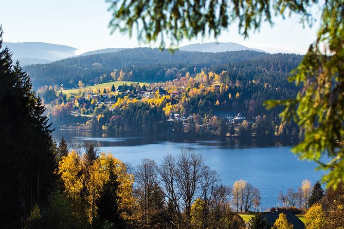 Black Forest and Rhine Falls Day Trip from Zurich - Rhine Falls: Europe’s largest waterfall, with a real chance to get close