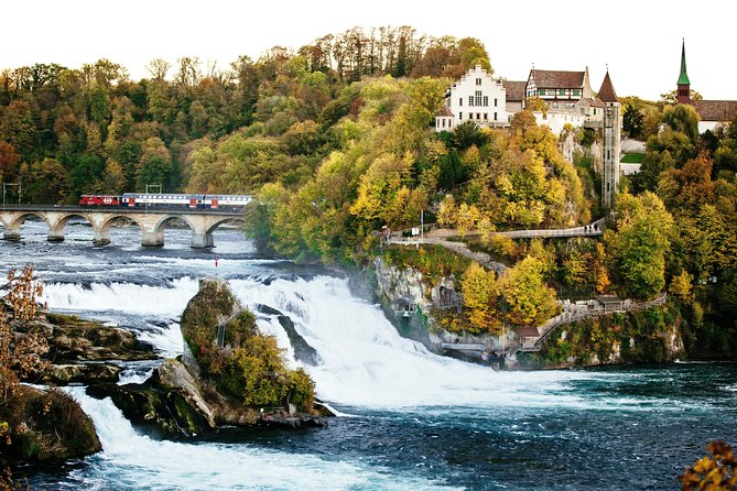 Black Forest and Rhine Falls Day Trip from Zurich - Guides, comfort, and the small things that change the experience