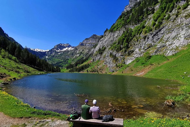 Breathtaking Private Hike with a Local Swiss Expert (1 day trip) - Your environmental science guide makes the scenery make sense