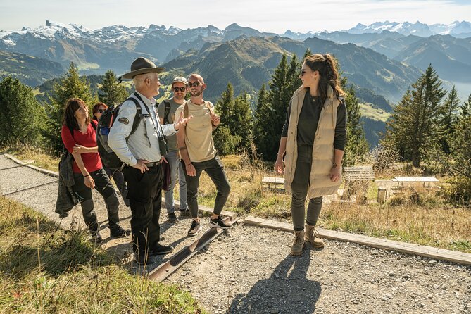 CabriO World's first Open Top Cable Car Ticket to Mt Stanserhorn - Price and value: what you pay for, and what you still need to handle