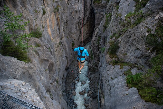 Canyon Swing with OUTDOOR - Price and Value: What $185.55 Includes and Why It Can Be Fair