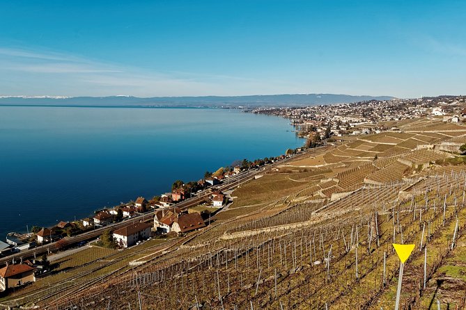 Cheese, Chocolate and Wine in the Bern Region from Luzern - Stop 1: La Gruyère cheese factory for real production, not a souvenir show