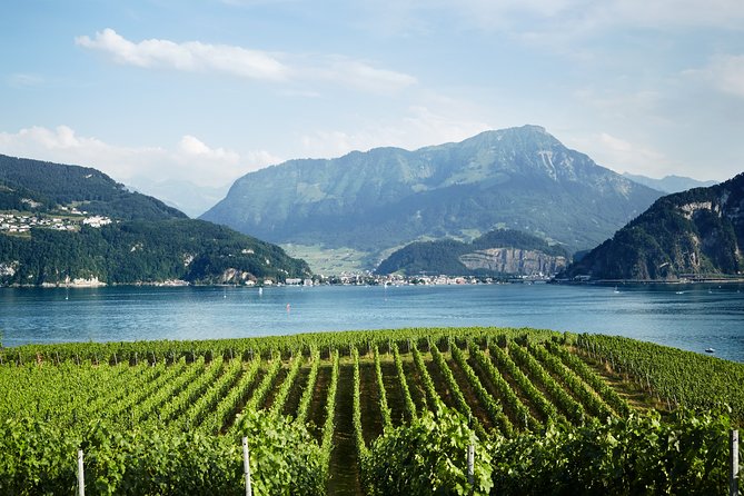 Chocolate, Cheese and Wine Tour in Luzern region - Price and value: is $879.41 per person really fair?
