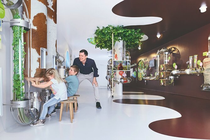 Chocolate factory Individual experience tour - Key highlights you should know before you go