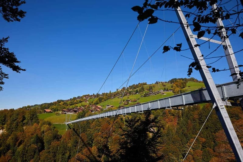 Crash Landing on You: Switzerland Filming Locations Day Tour - Sigriswil Panorama Bridge: Where the Walk Becomes the View