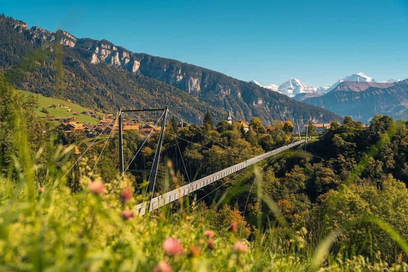 Crash Landing on You: Switzerland Filming Locations Day Tour - Who This Tour Suits Best