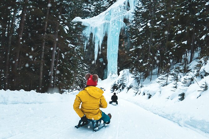 Day Sledding in Interlaken - Key highlights you will feel right away