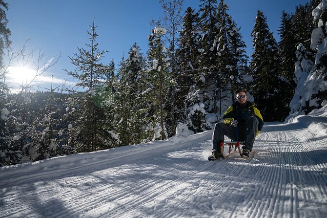 Day Sledding in Interlaken - Getting to the sled run: the smooth start from Wilderswil