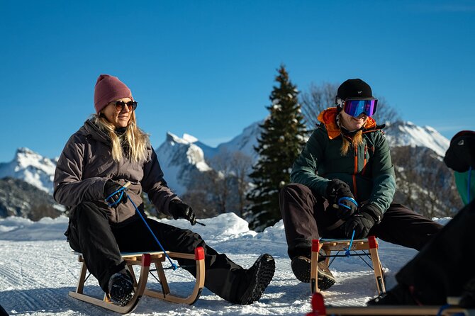 Day Sledding in Interlaken - Fitness level, weight limits, and who should go