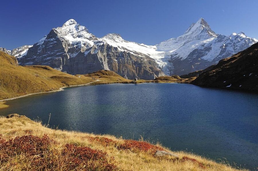 Day trip from Lucerne to interlaken and Grindelwald - Hotel pickup and the private driver: where the day lives or dies