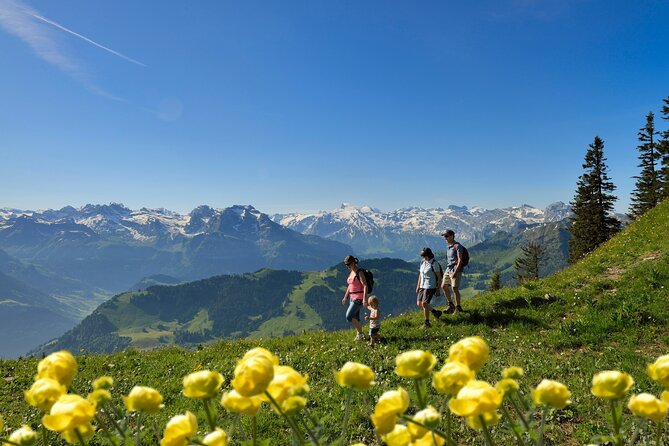 Day Trip to Lucerne and Mount Stanserhorn Including CabriO Cable Car Ride - Marmot Park and the short hike: how to use your summit time well