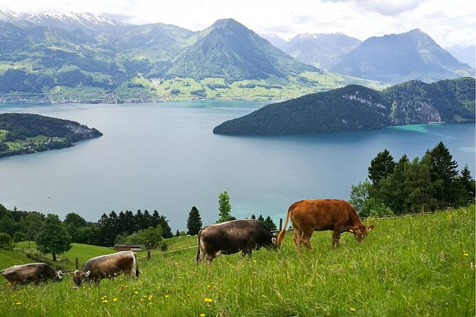 Day Trip to Lucerne and Mt. Rigi with a local from Zurich - Zurich Morning Start, then straight toward Lake Lucerne