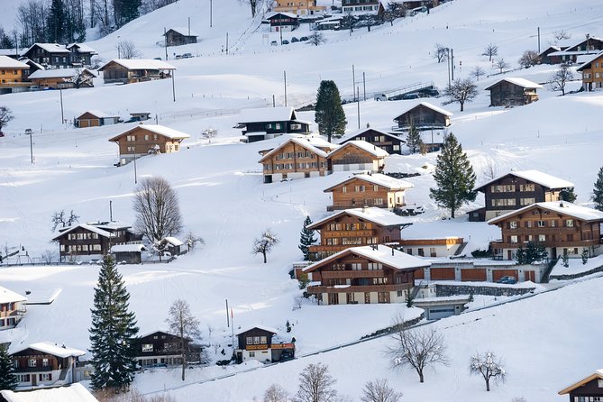 Daytrip to Jungfraujoch Top of Europe and Interlaken from Zurich - Group Size, Sound, and Why the Day Can Feel Long