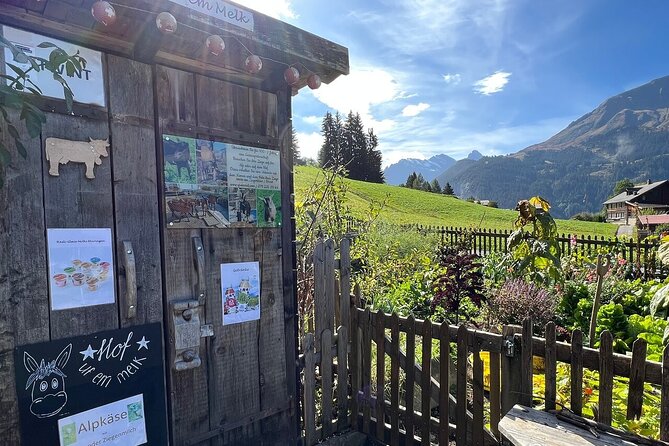 Easy countryside tour in Swiss Alps - kids friendly - Price and Value: What $157.17 Buys You in the Jungfrau Region