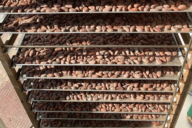 Ethical Chocolate Tour - How the tour timing and small-group format feel in real life