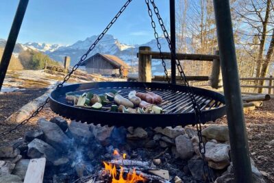 Flavours of Switzerland Luxury Private Tour from Zurich & Lucerne