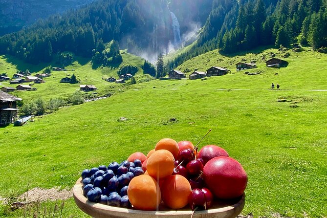 Flavours of Switzerland Luxury Private Tour from Zurich & Lucerne - Canton of Uri: viewpoints, a near-2,000-meter pass, and the mountain BBQ