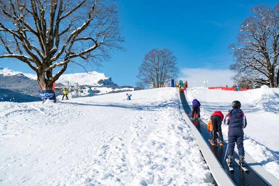 From Interlaken: Grindelwald Beginners Snowboarding Lesson - Who this lesson suits best (and who should skip it)