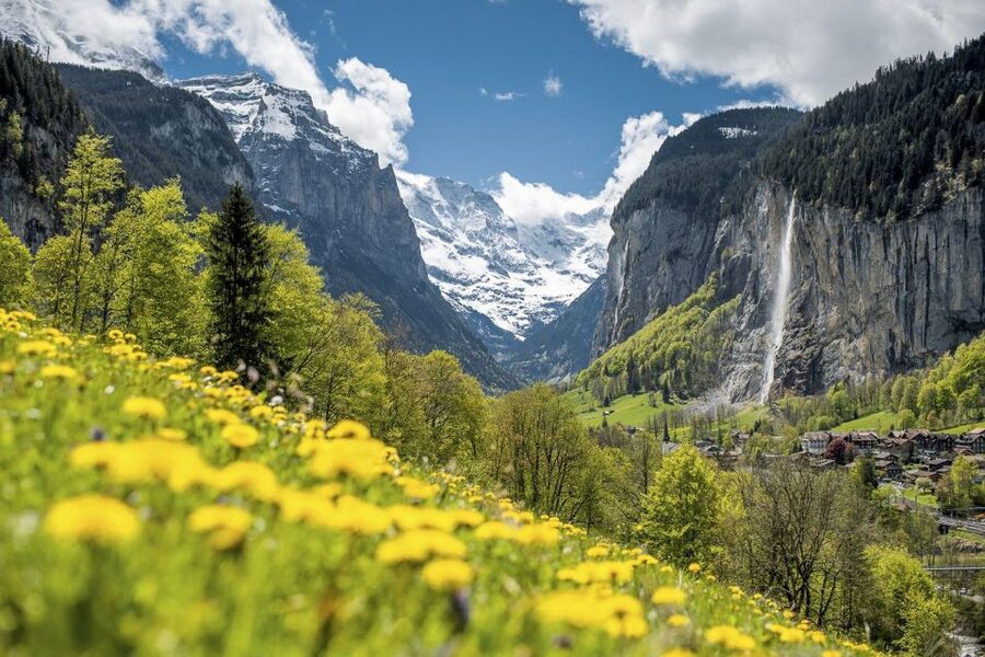 From Interlaken: Guided Tour to Jungfraujoch - Top of Europe - Price and Value: Is 342 USD Worth Jungfraujoch Day Access?