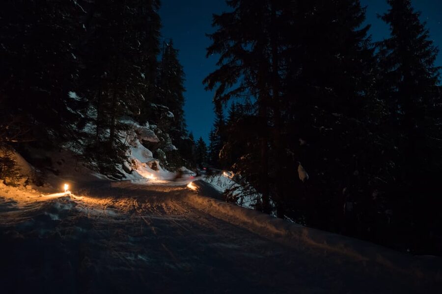 From Interlaken: Night Sledding - Who should book, and who should skip this sled run