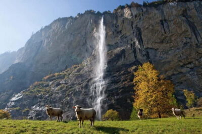 Day Trip to Grindelwald & Lauterbrunnen