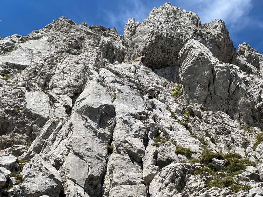 From Lucerne: Mt. Pilatus and Lake Lucerne Small-Group Tour - Who this tour is best for, and who might want to adjust