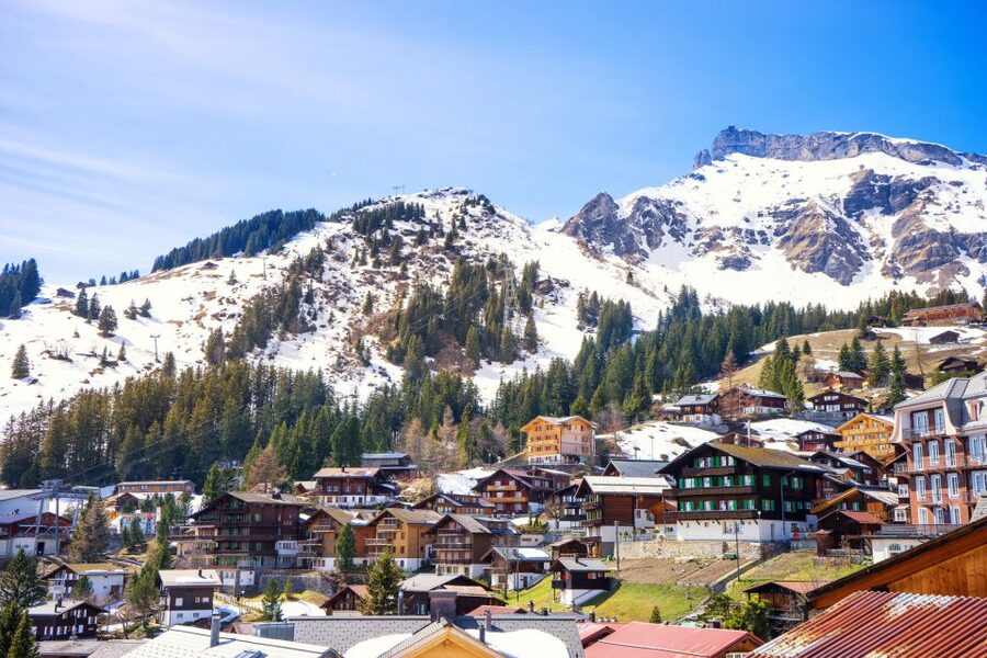 From Lucerne: Private Day Tour to Interlaken and Grindelwald - Interlaken: Lakeside Strolls and Hohematte Park Views in 2.5 Hours