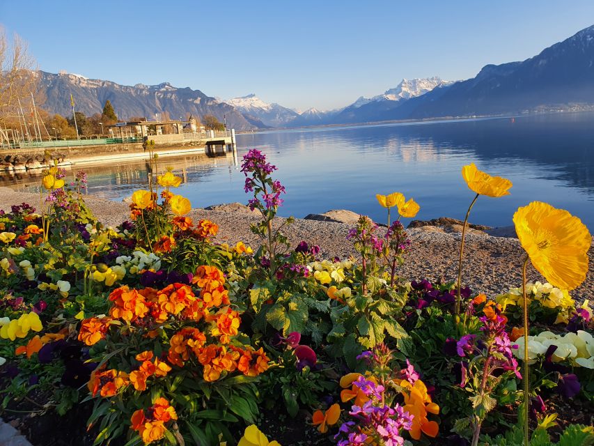 From Zurich: 7-Day Tour to Geneva with Tickets and Lodging - Bern to Gruyères to Montreux: historic city walking plus cheese and chocolate as anchors