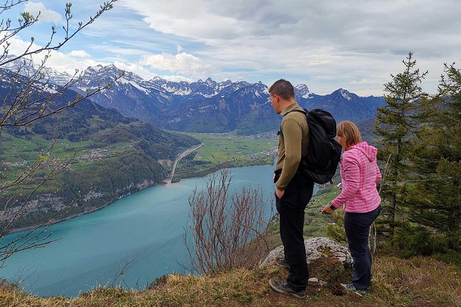 From Zurich: Breathtaking waterfall and lakes private tour - Why this Zurich day feels different than a bus tour