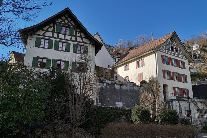 From Zurich: Breathtaking waterfall and lakes private tour - Seerenbach Falls in spring: when the water actually shows up