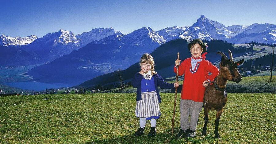 From Zurich: Bus Day Trip to Heidiland and Liechtenstein - Key Points You Should Know Before You Go