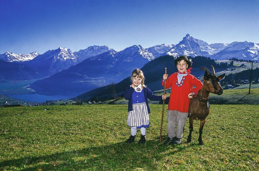 From Zurich: Bus Day Trip to Heidiland and Liechtenstein - Why This Zurich Day Trip Works So Well