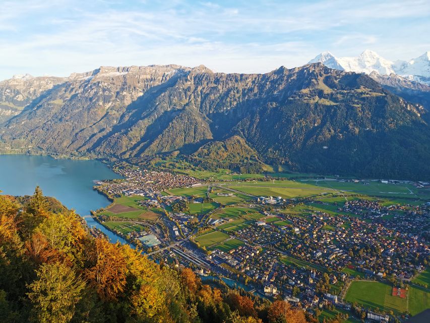 From Zurich: Day-Trip to Interlaken - Who should book this Interlaken day trip from Zurich