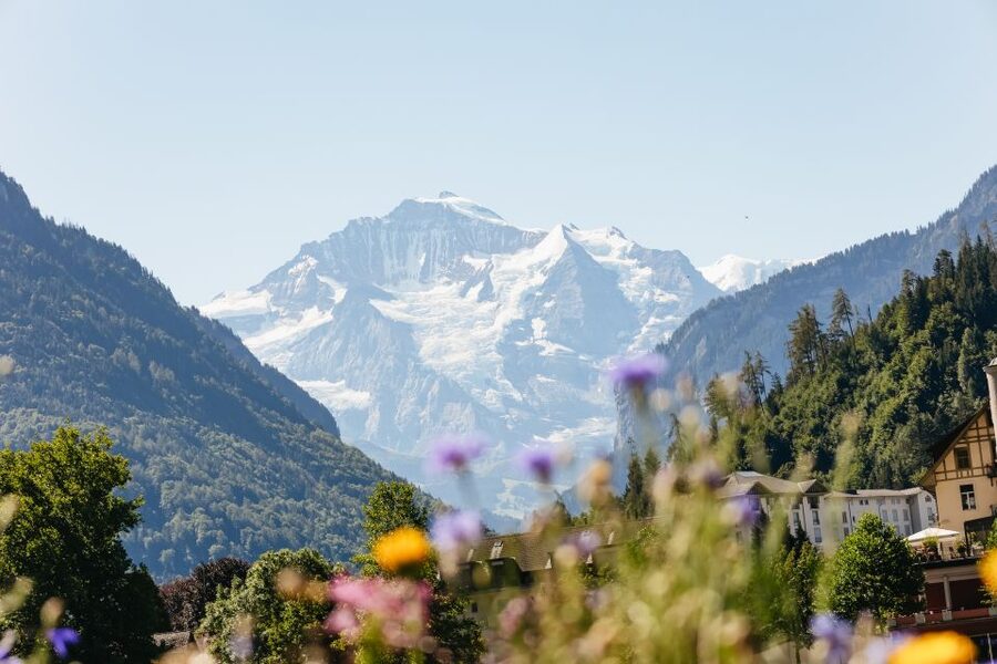 From Zurich: Day Trip to Jungfraujoch - Top of Europe - Jungfraujoch time on top: UNESCO High Alps and the Sphinx viewpoint