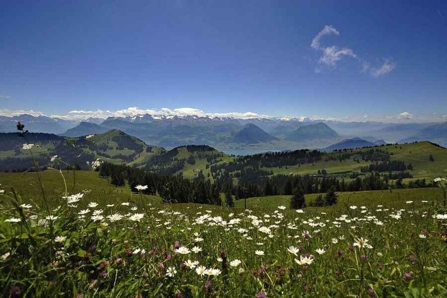 From Zurich: Day Trip to Rigi and Lake Lucerne - Price and Value at $194 Per Person: When It Feels Worth It