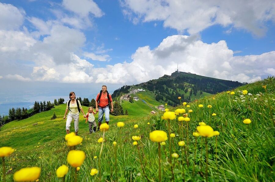 From Zurich: Day Trip to Rigi and Lake Lucerne - Seasonal Notes That Change How You Experience Rigi